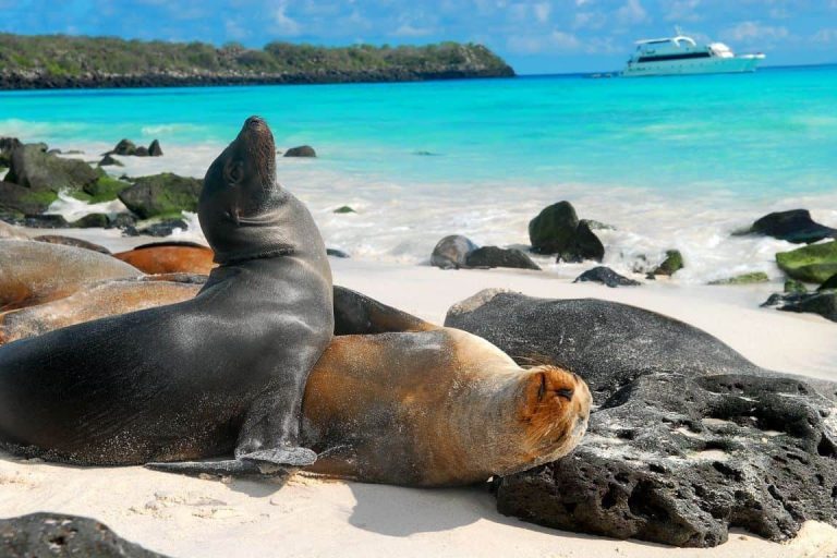 Ecuador, nominado a 42 categorías en los “Óscar de Turismo”