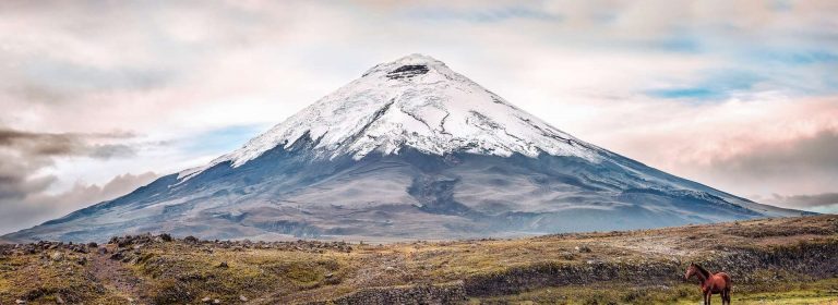 Parque Nacional Cotopaxi reabre sus actividades