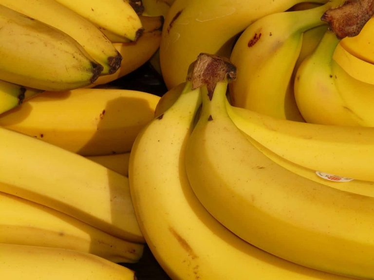 Gobierno anuncia refinanciamiento y nuevos créditos al sector bananero