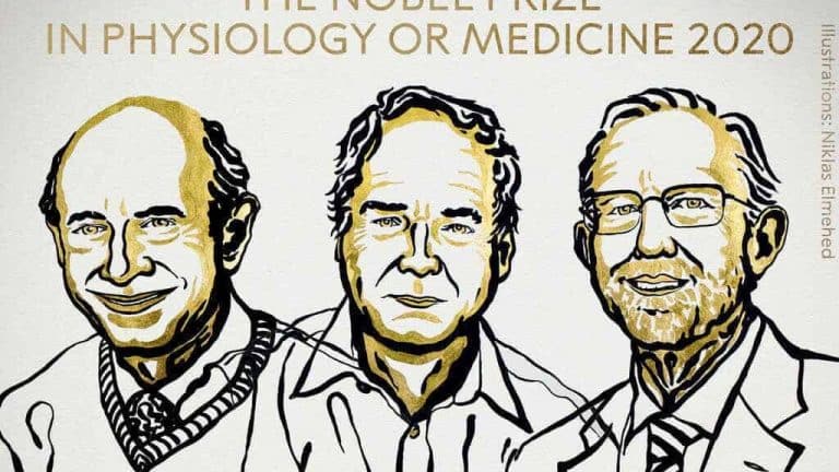 Houghton, Alter y Rice ganan el Premio Nobel de Medicina por descubrimiento de hepatitis C