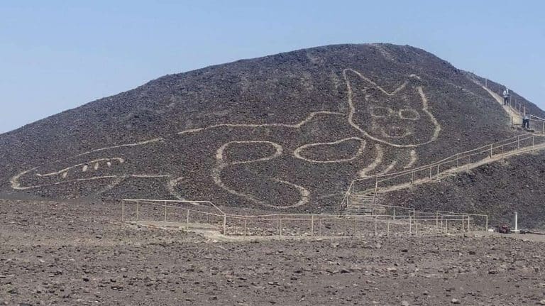 Un monumental felino resurge en Nazca