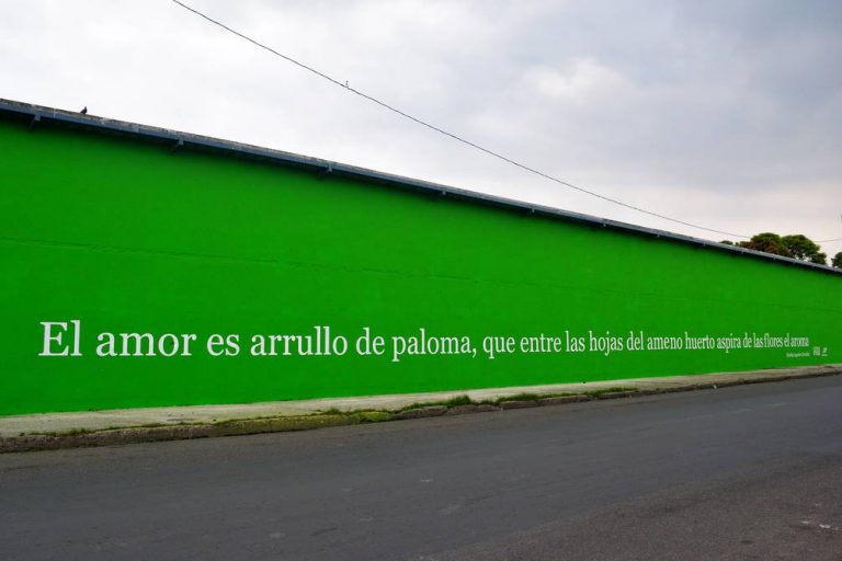 Escritoras piden el retiro de sus versos del proyecto Letras Vivas