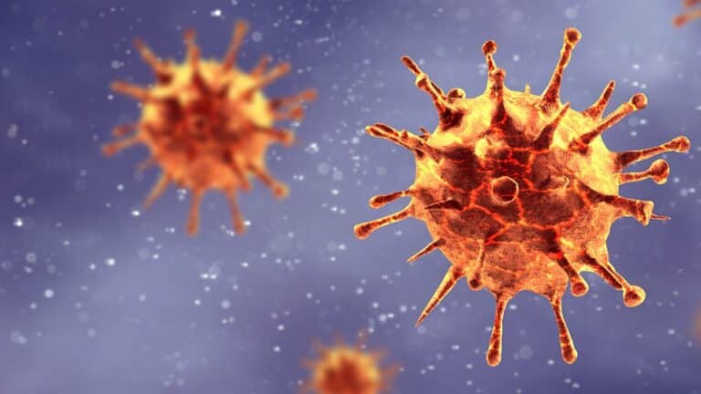 Nipah: virus más letal que el Covid se propaga