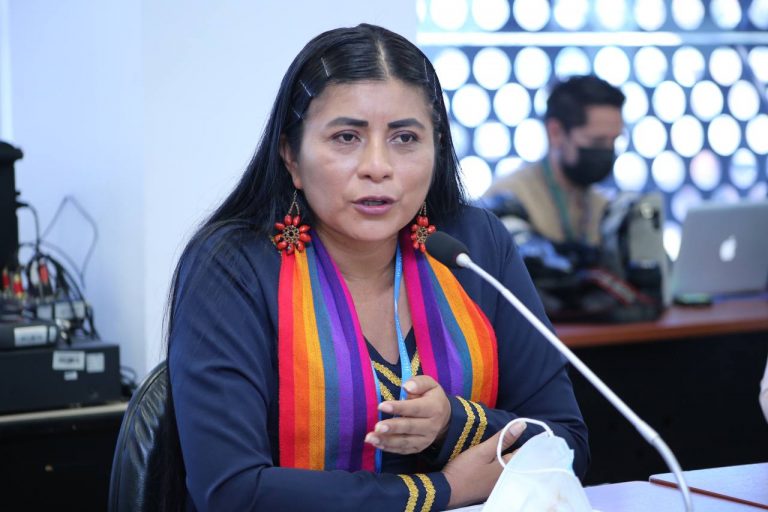 «Si van a robar, roben bien», dice asambleísta de Pachakutik