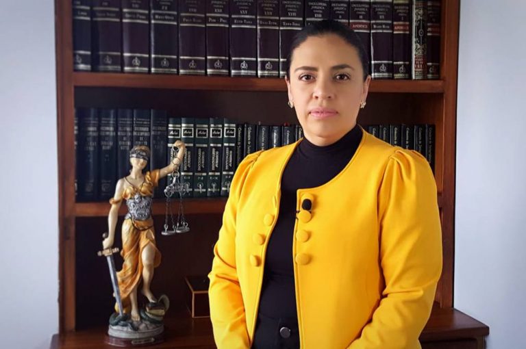 Consejo de Participación reconoce a Tanía Castillo como defensora subrogante