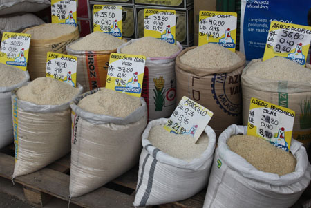 Libre paso para que Ecuador importe arroz uruguayo
