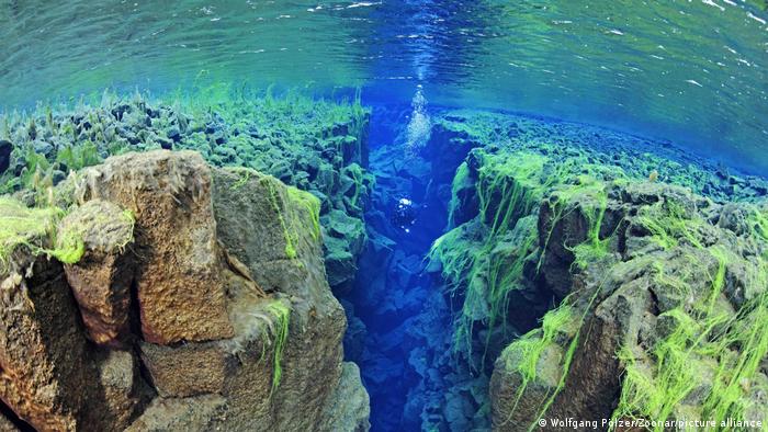 Científicos descubren «pasaje geológico subterráneo» que conecta las Galápagos con Panamá