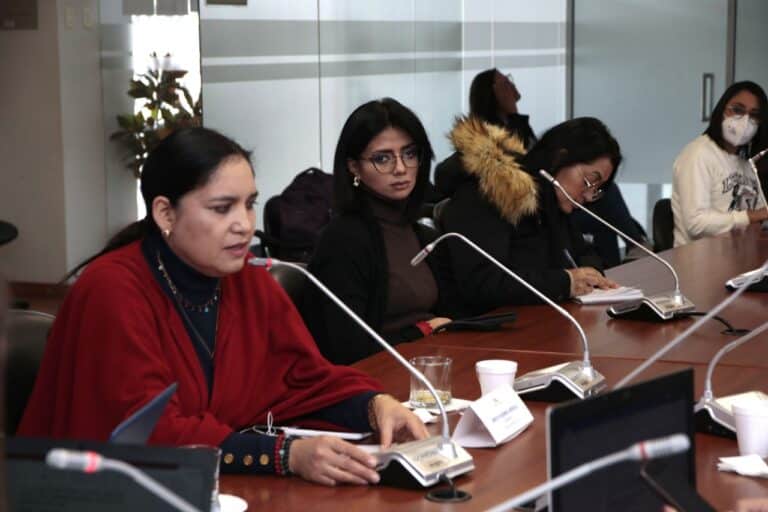 Comisión Pluripartidista recomienda la destitución de Yeseña Guamaní como segunda vicepresidenta de la Asamblea