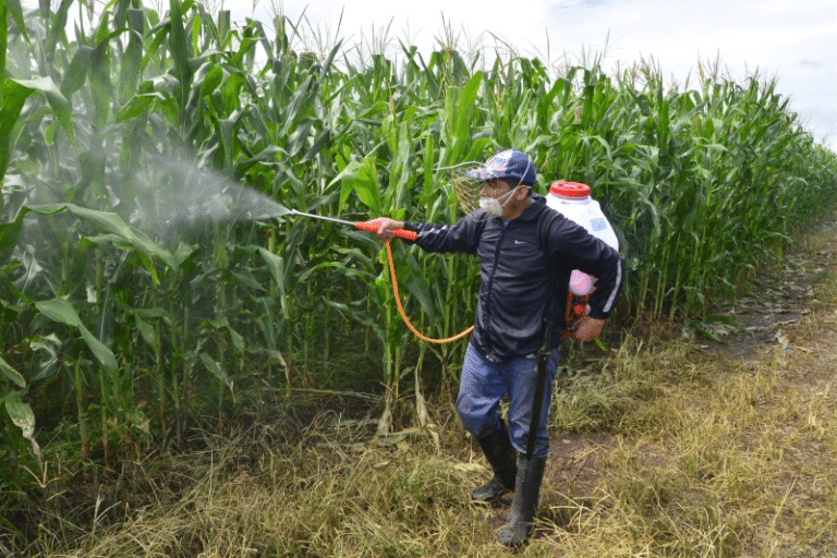 La importación de productos para el sector agrícola aumentó en un 40%