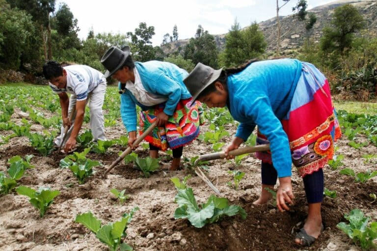 Las mujeres de la ruralidad viven en desigualdad de condiciones