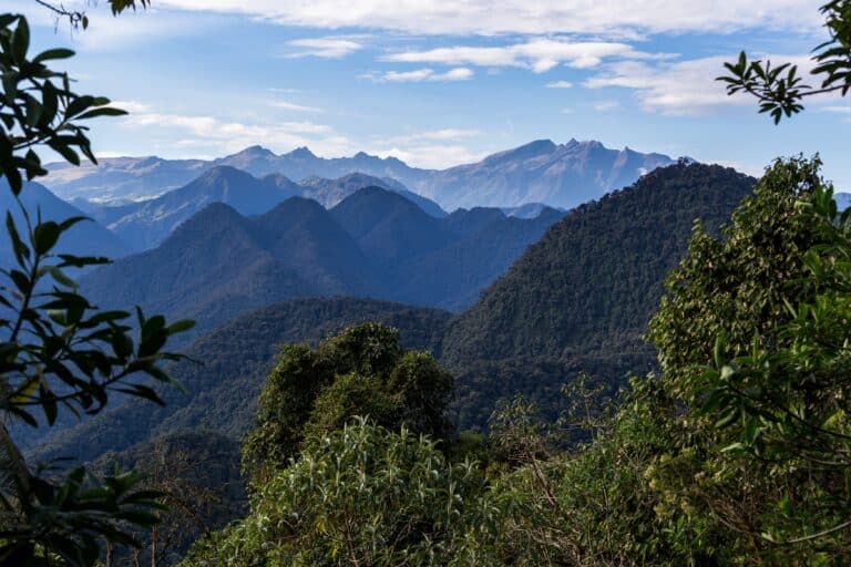 400 mil firmas se necesitan para salvar el Chocó Andino