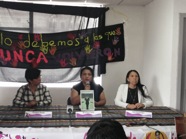 Más de 270 femicidios durante el 2022