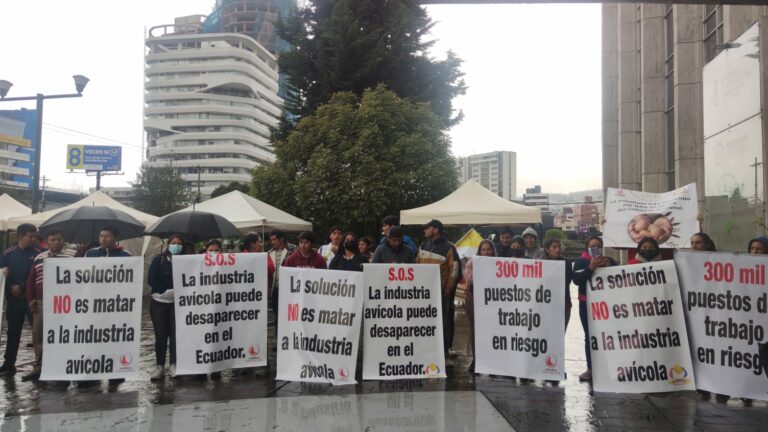 El sector avícola exige soluciones frente a la gripe aviar