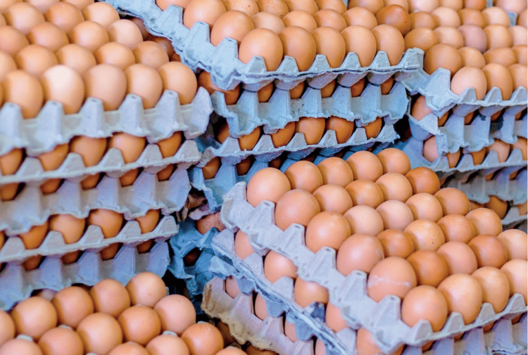 La cubeta de huevos medianos se vende hasta en USD 5