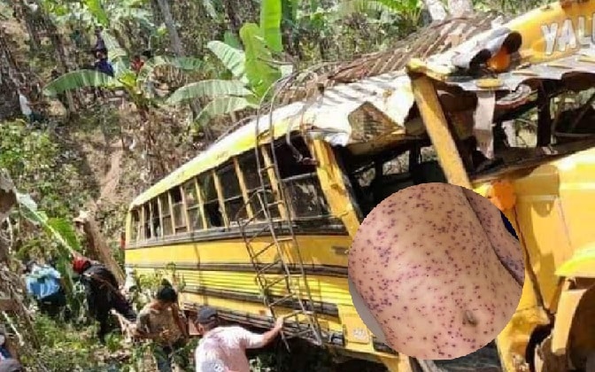 Seis personas mueren por picaduras de abejas asesinas tras accidente de tránsito