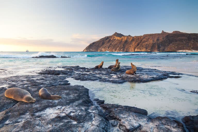 Lasso habría privatizado las islas Galápagos por 18 años