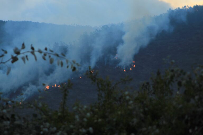 Quito: Bomberos combaten incendio forestal en el cerro Casitagua