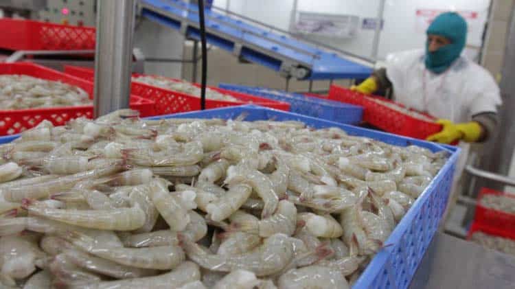 La crítica realidad detrás del principal producto de exportación