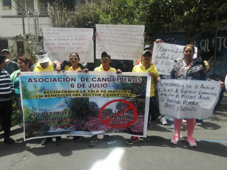 Decreto de Lasso propone que las camaroneras compren áreas públicas