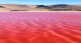 Mito vs Ciencia: ¿Por qué el río Nilo se tiñó de rojo?