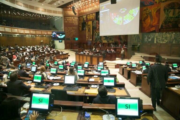 La Constitución, a merced de los favores políticos en la Asamblea Nacional | Opinión
