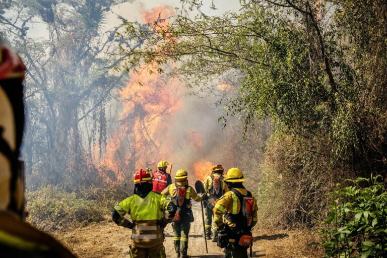 Quito: El 99% de los incendios forestales fueron provocados