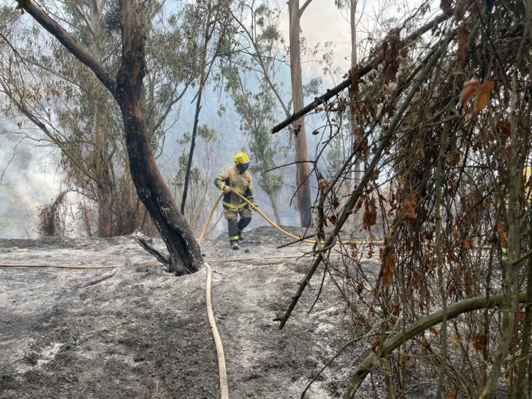 ¿Qué sigue después de la tragedia ambiental en Quito?