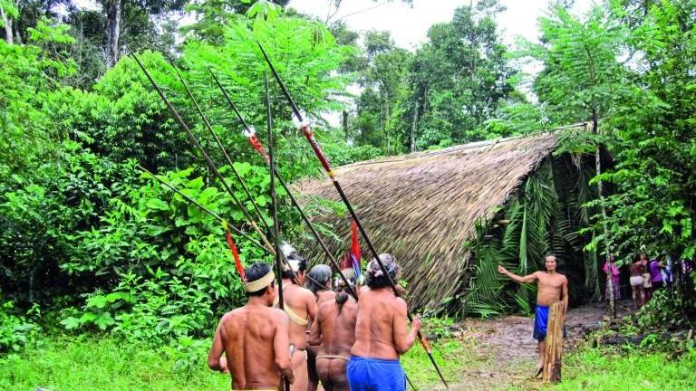 Nacionalidad Waorani denuncia riesgo de etnocidio por intento de contacto con pueblo Taromenane en aislamiento
