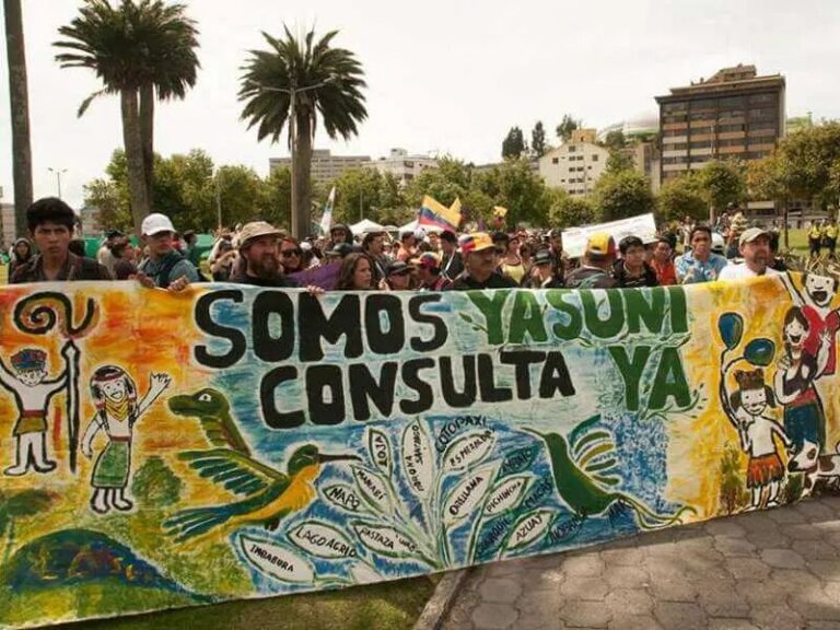Yasunidos: A dos años del mandato popular el Estado incumple